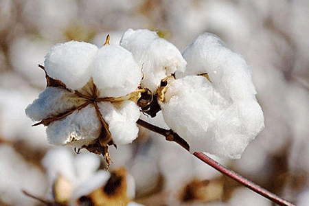 校服定制 校服定制