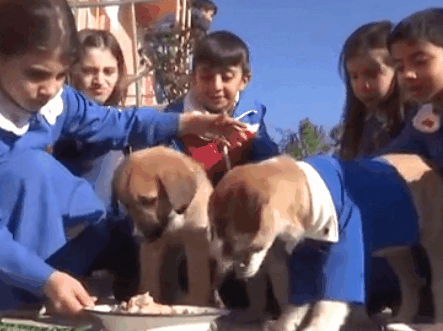 定制校服 定制校服