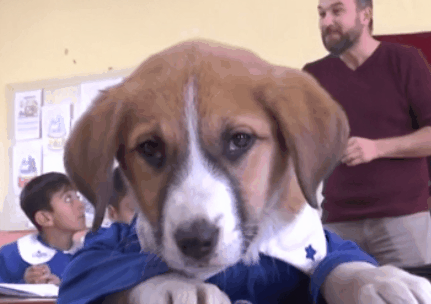 定制校服 定制校服